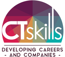 CT Skills Virtual Learning Environment